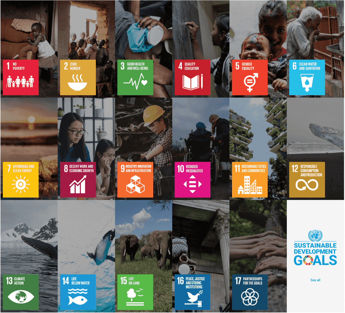 UN Sustainable Development Goals