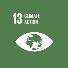 SDG 13: Climate Action